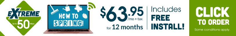 12 Month Savings