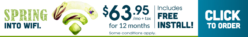 12 month savings 12 month savings